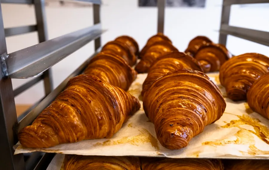 Glossy croissants fresh from the oven